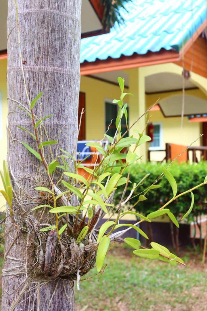 Baanrimklong Koh Chang