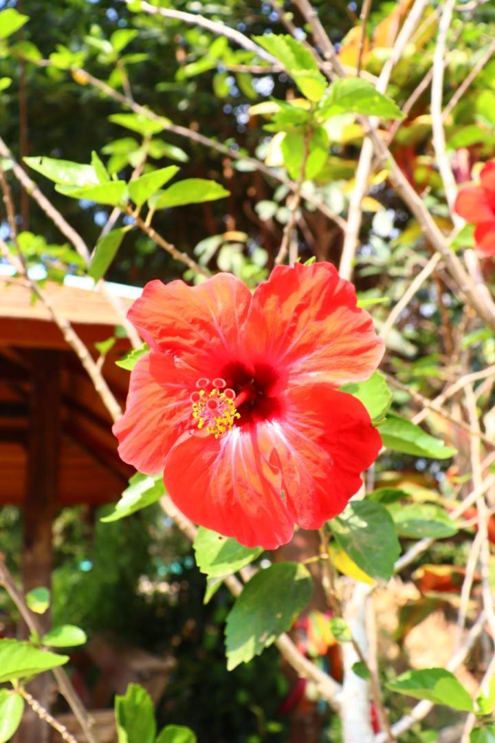 Holiday home Baanrimklong *